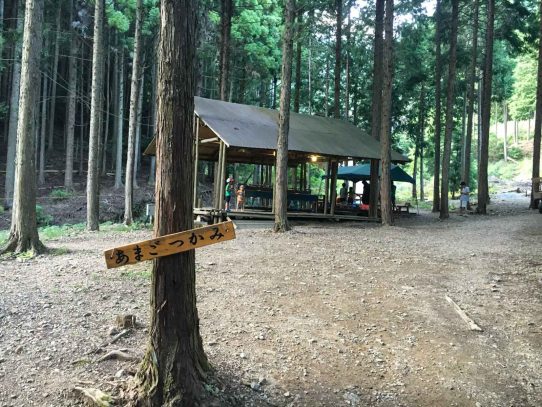 森のひとときでキャンプファイヤー 今年2回めの父子キャンプ
